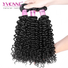 Grade 7A Malaysian Curly Brazilian Human Hair